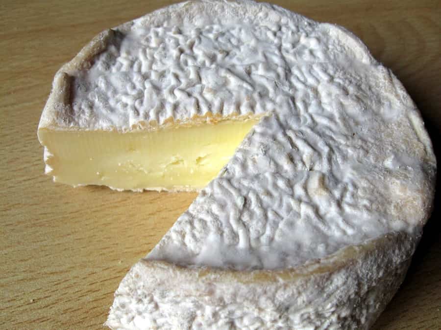 Cheese, Bra