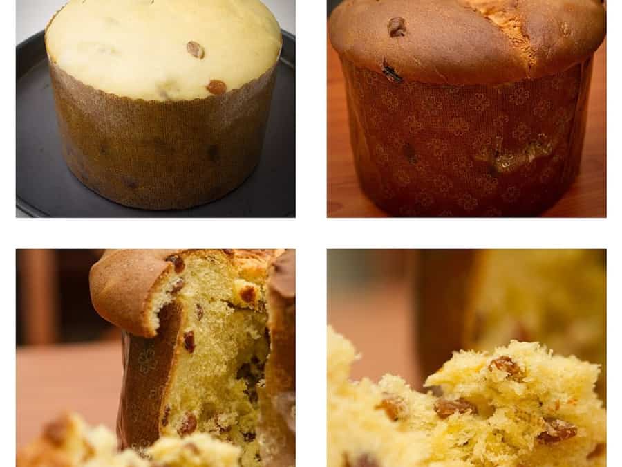 Milan panettone atelier in the festive season, food photograph 3