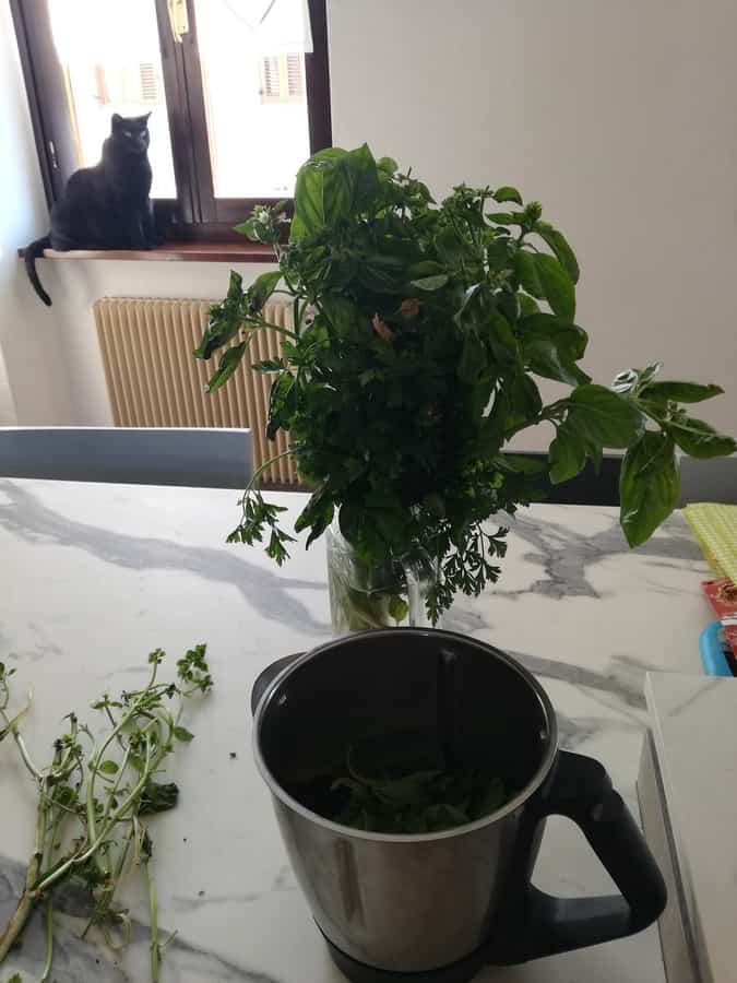 Genoese pesto at a working marble mortar table, food photograph 4